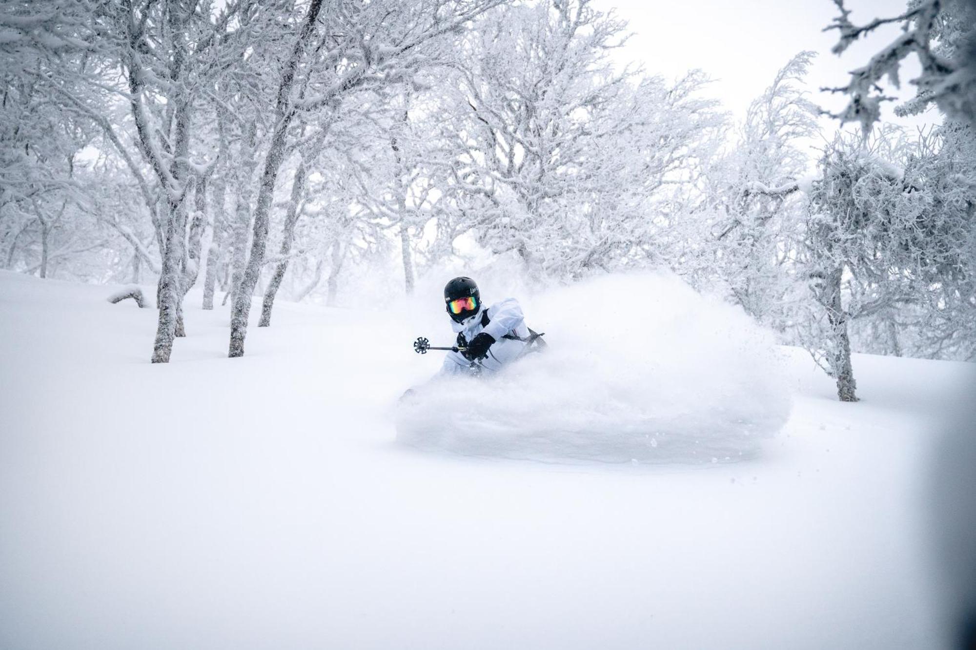 Classic Log Cabin Ski-In Ski-Out レヴィ エクステリア 写真